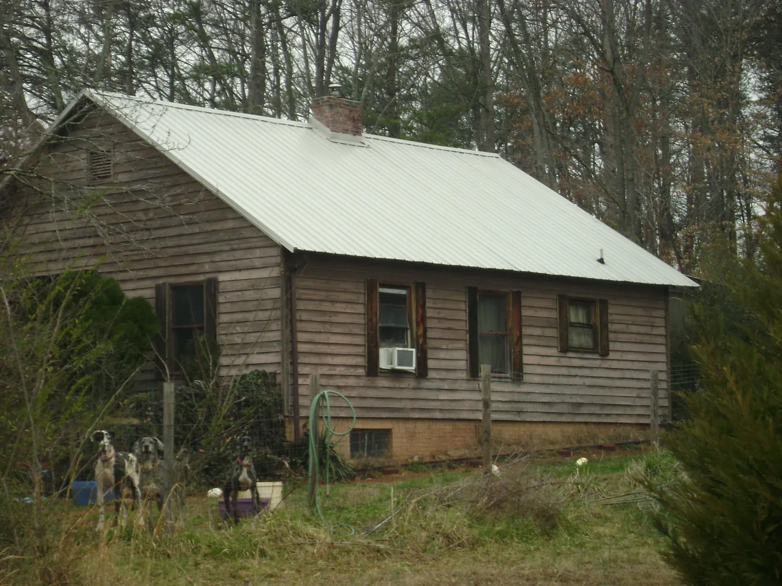 White metal roof on an old wood sided farmhouse, from a Asphalt Shingle Roof Repair job in Burbank